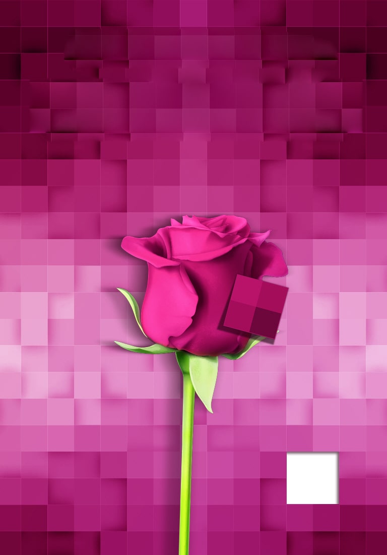 تطبیق رنگ سه‌بعدی2